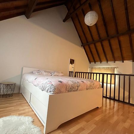 Le Mortier D'Or Duplex Hyper Centre Ville Troyes Buitenkant foto