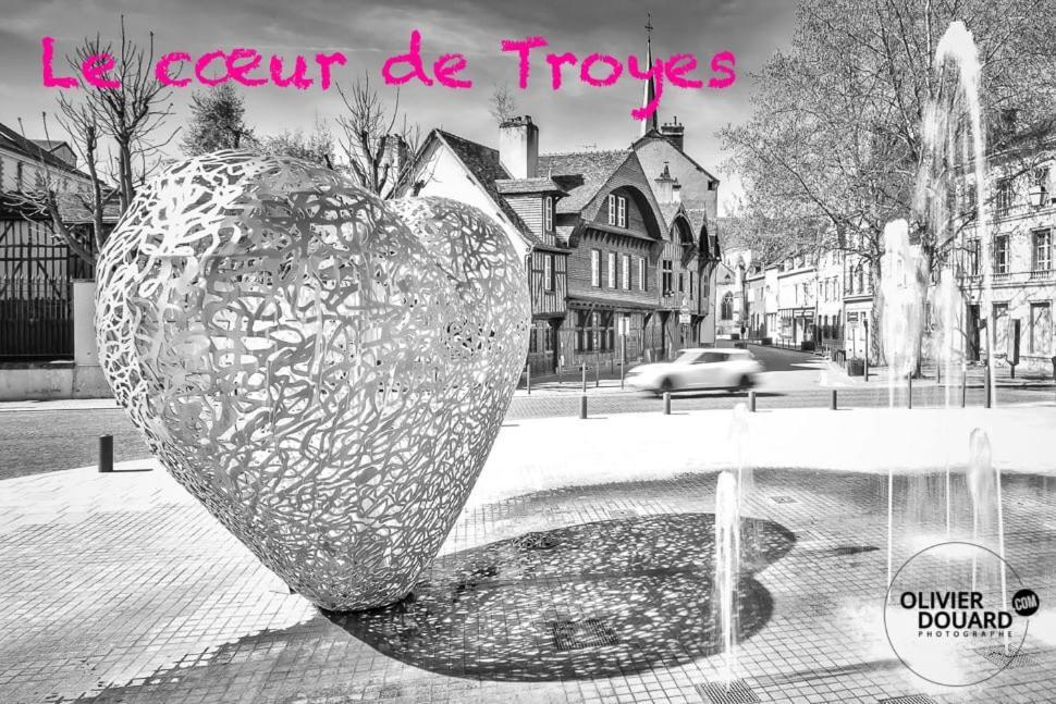 Le Mortier D'Or Duplex Hyper Centre Ville Troyes Buitenkant foto