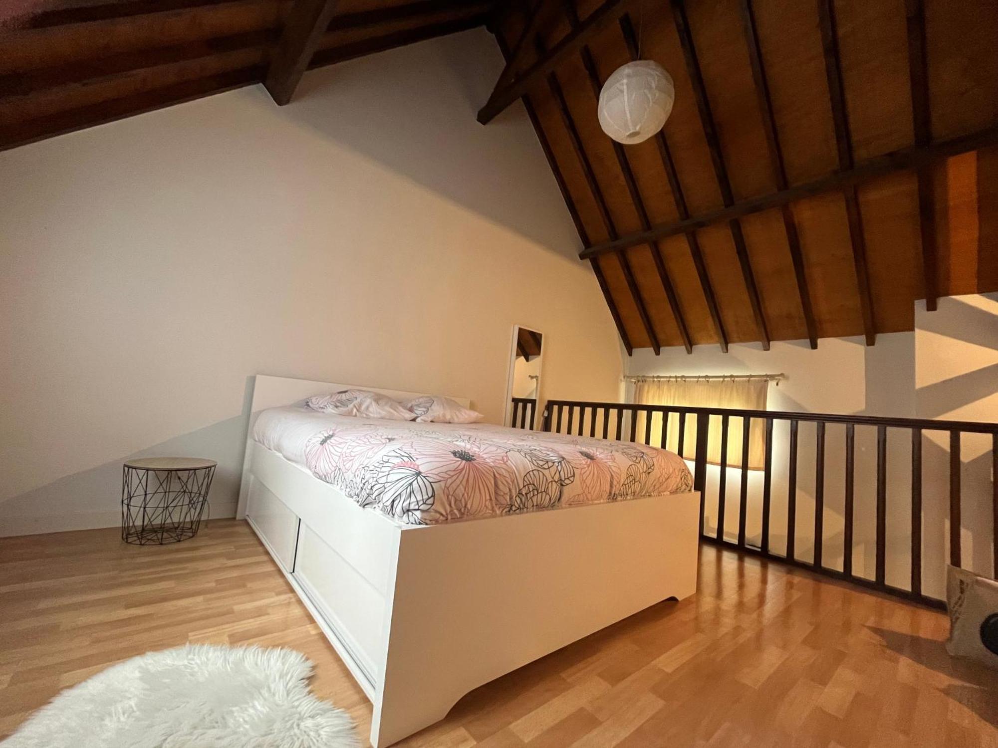 Le Mortier D'Or Duplex Hyper Centre Ville Troyes Buitenkant foto