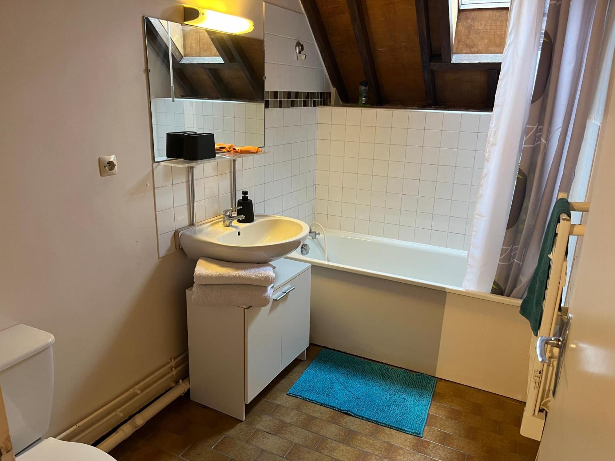 Le Mortier D'Or Duplex Hyper Centre Ville Troyes Buitenkant foto